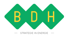 BDH  Strategie in Energie