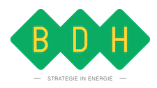 BDH Strategie in Energie