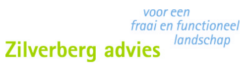 Zilverberg Advies