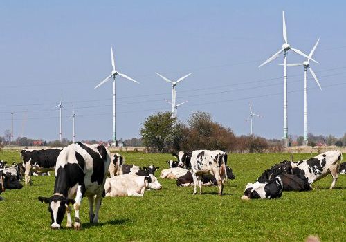 Kennisdag ‘duurzame energie in de melkveehouderij’