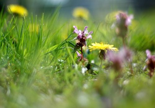 21 april Themabijeenkomst Natuur, landschap en de energietransitie